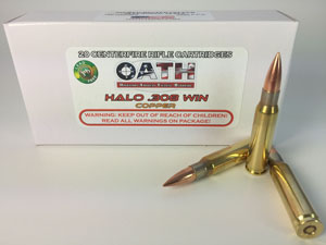 Picture of 308 Winchester Match Grade // Copper